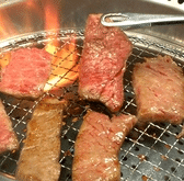 春休みのランチに焼肉｜姫路で土日祝も使いやすい外食候補